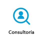 Consultoría - Servicios - Arroniz Consulting